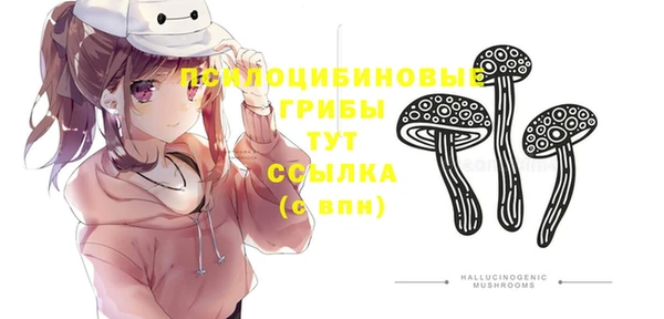 твердый Куйбышев
