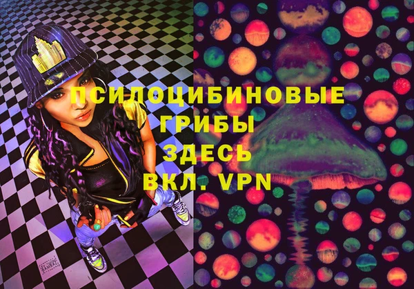 твердый Куйбышев